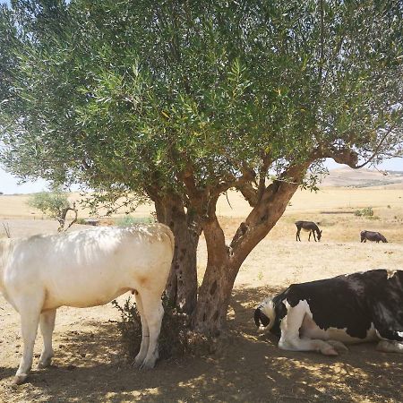 فيلا Assoroفي Sperone Agriturismo المظهر الخارجي الصورة